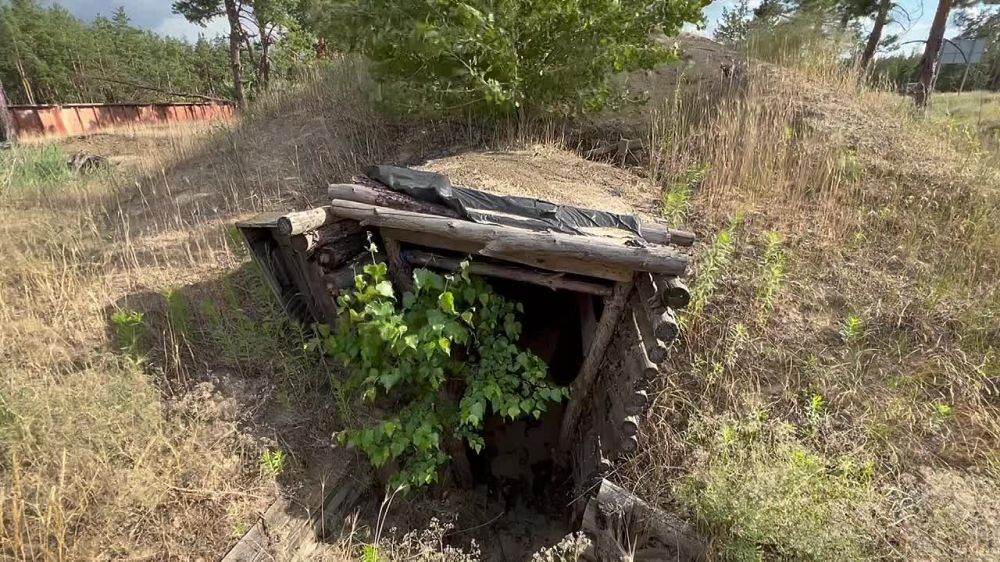 ��������: ���������� ���!. ����� �� ����� ��������������� ���� ��������� �����. ������������ � ����� ���������� ��� ���������� �������������� ��� ������������ ����� ������ ����������