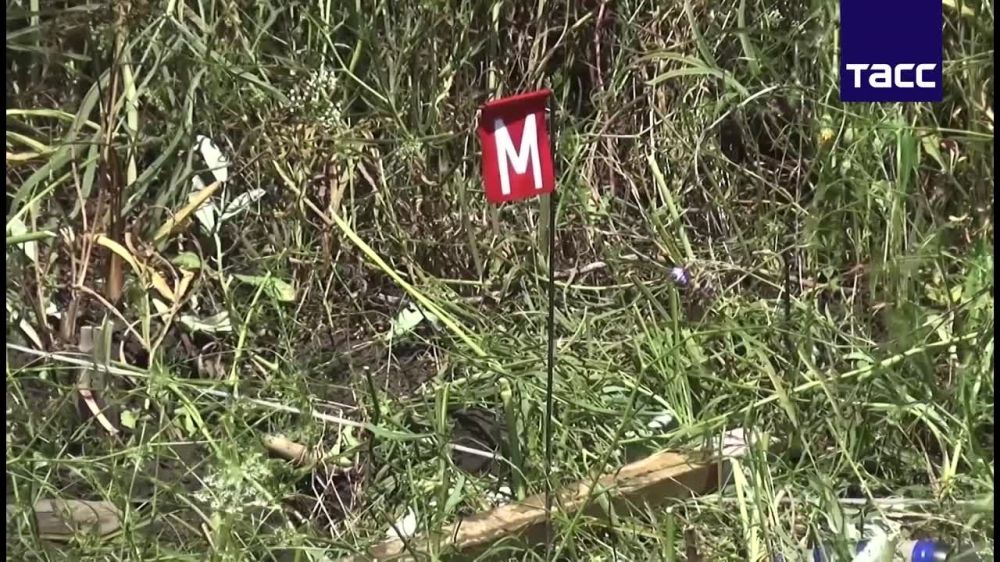 ����������� ���� � ��� ������ � ������ ������� ������������ �� ������� ��������� ����� 3,7 ���