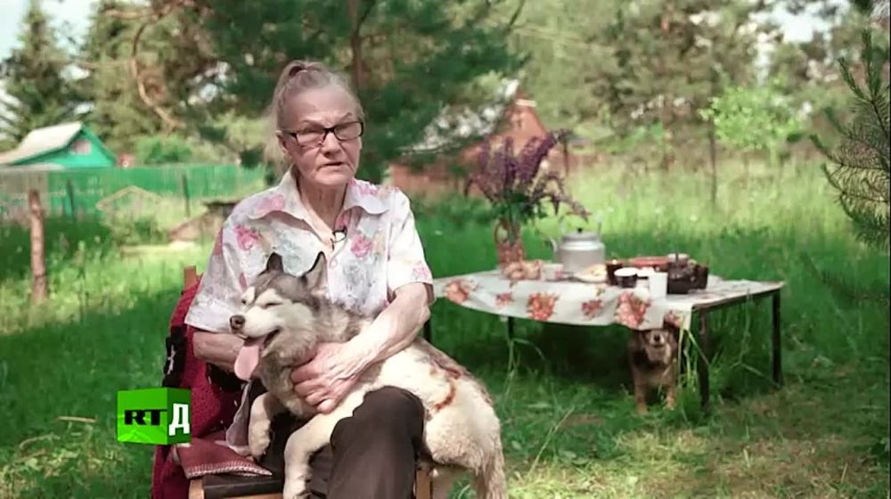 ���� ����, �������, �������