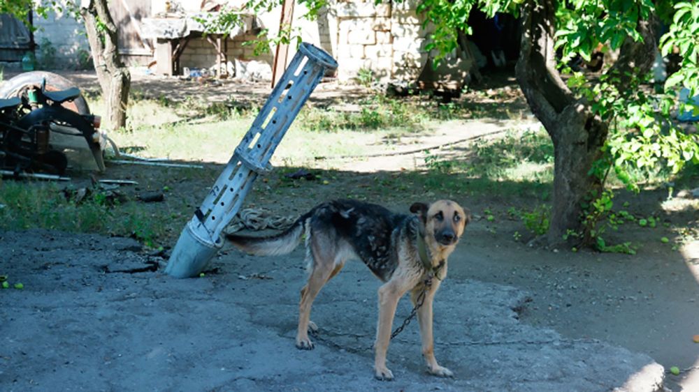 Украинские войска замаскировали РСЗО под грузовик и обстреливали Луганск