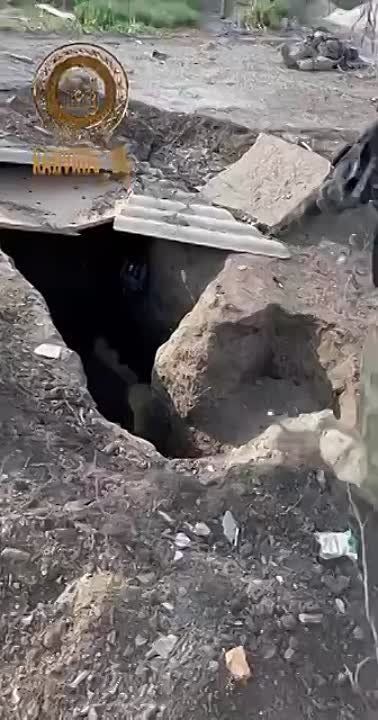 �������: ��������� �������� �������� ���� ���� ��������� ������ � ���������������� ����������, ��� ������ ��� ���������� ������ ��� ������������ ��������� �������� ���������� ����������� ���� �������� ���������� �������������