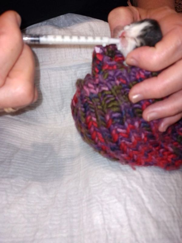 �������� ������� �������� �������������� ������ ��������� � ��������