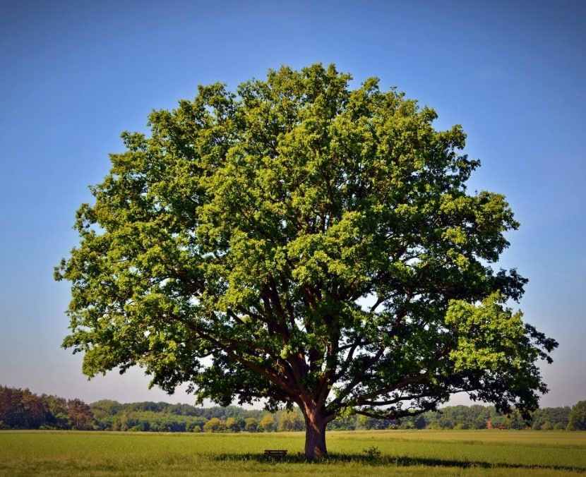 ��������� ������� �� ������ ����������� ����� ������ ��������