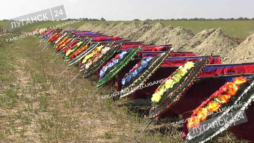 � �������� ������������ ���������� �������������� �������� �������, ������� �������, ������� ������