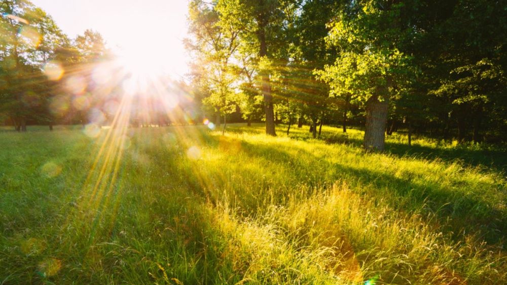 ��������� ������������ ������ � �������� �� 30� ����