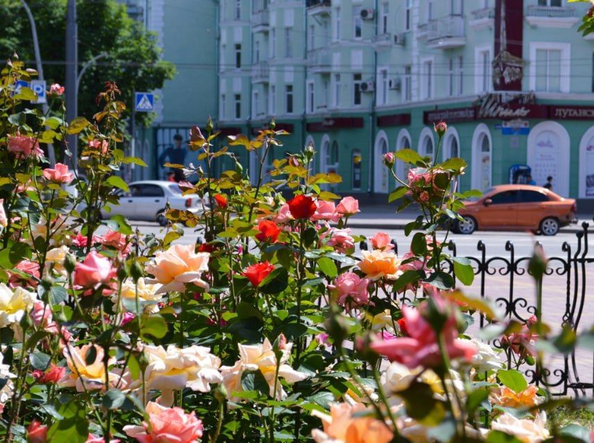 ����������� �� 32 �������� ���� ��������� ������ � ��������