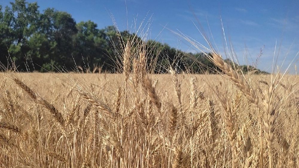 � ��� ������ ���������� �� ����� 2,5 ������� ��������� �����