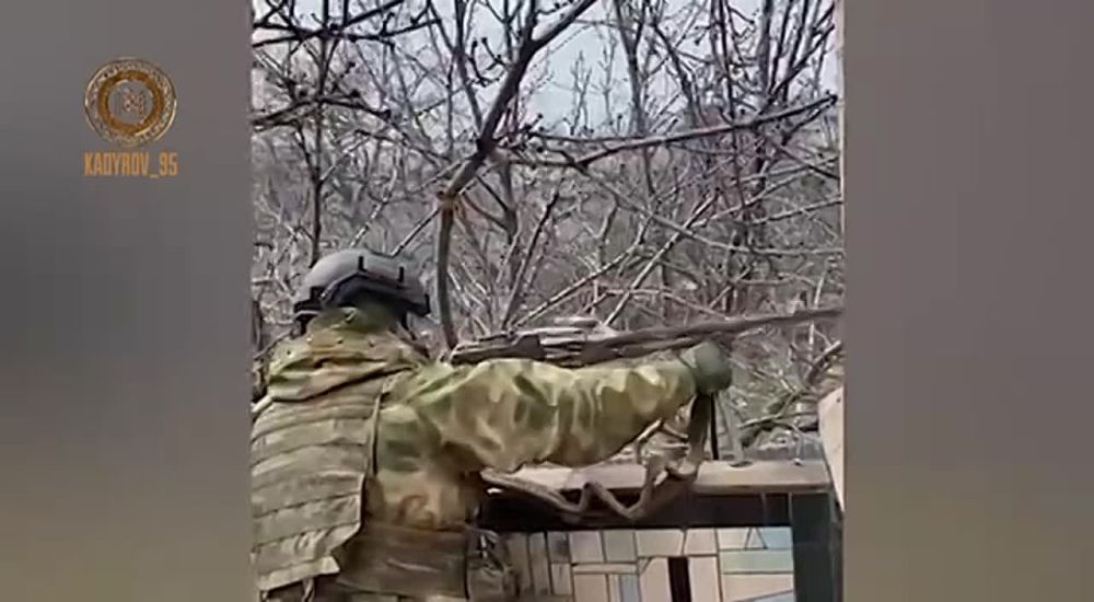 �������: ������������ ������ ��������� ��������� �� ������ ������� ������ �������� "����������" ���������