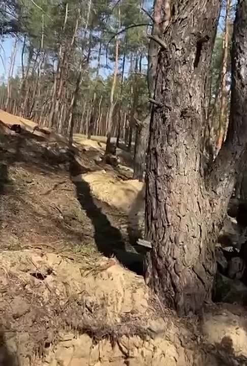 ���-�� �� ��������� �����������