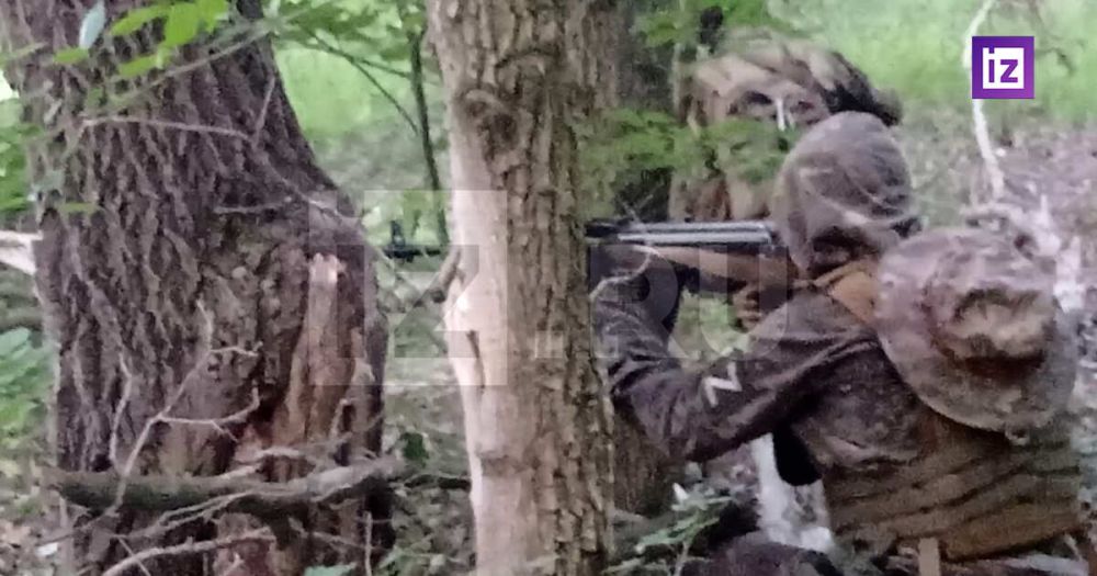 "��������" ��������, ��� ����� ��� ������� ������ ��� � ��������