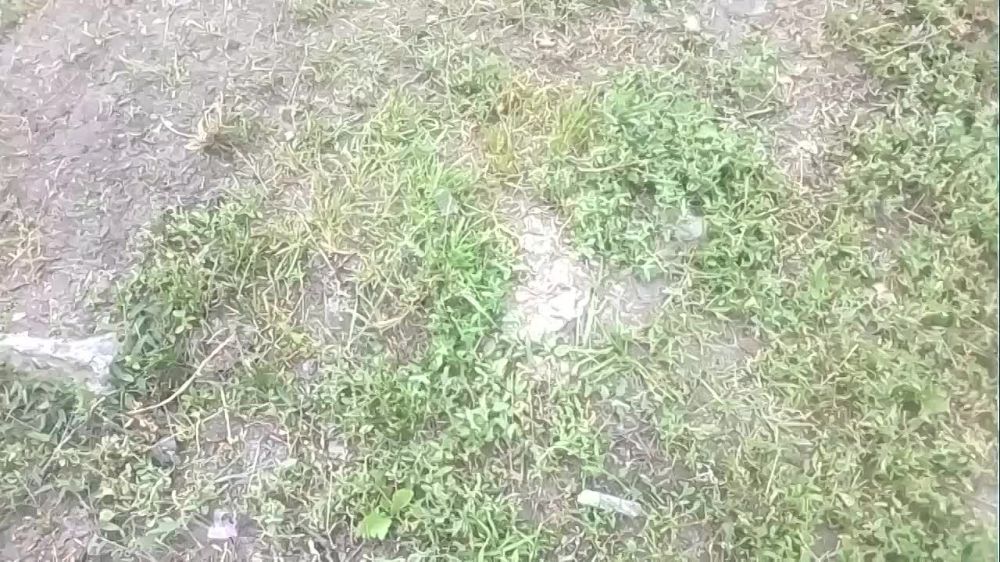 18 ���� 2014 ���� ������������� ������� �������� �� ��������� �� ��� � �����������, ��� ������������� ��� ������ ������� ������ �� ���� ����� �� ������� ������������ �������