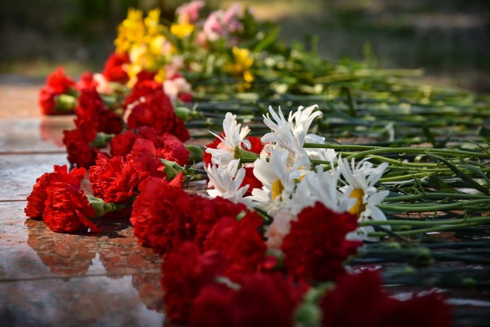 � ������� ��������� ������ �����������, ����������� ����������������� �� ��� ������ �������������� �����