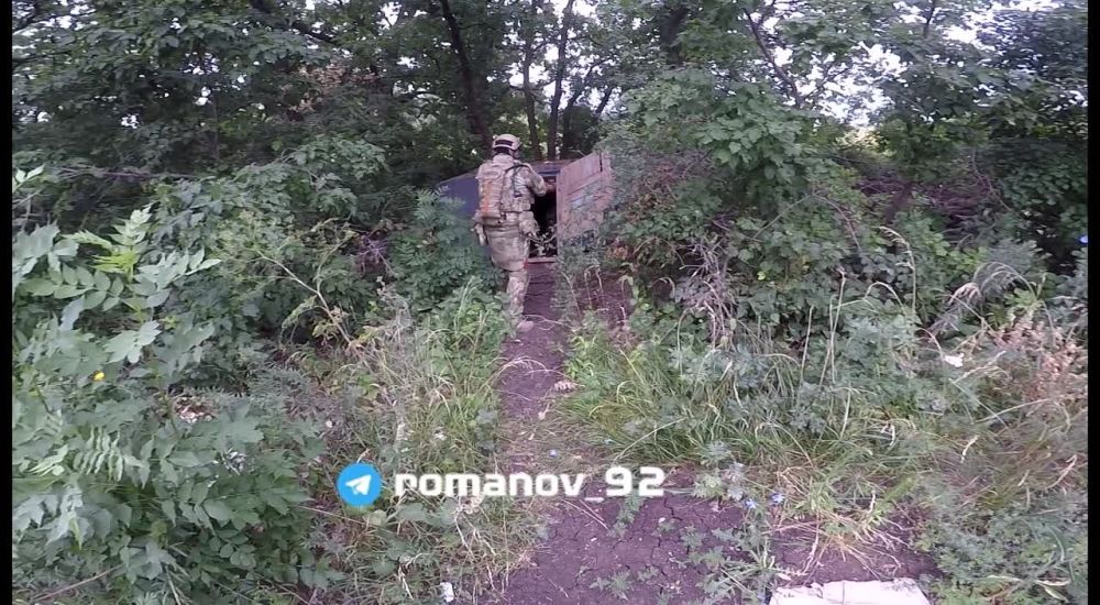 #��������� ����� Romanov ����