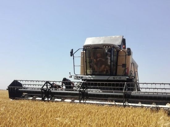 ����������� ������� �������� � �������� ���