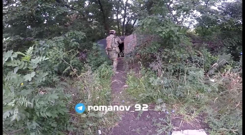 #��������� ����� Romanov ����