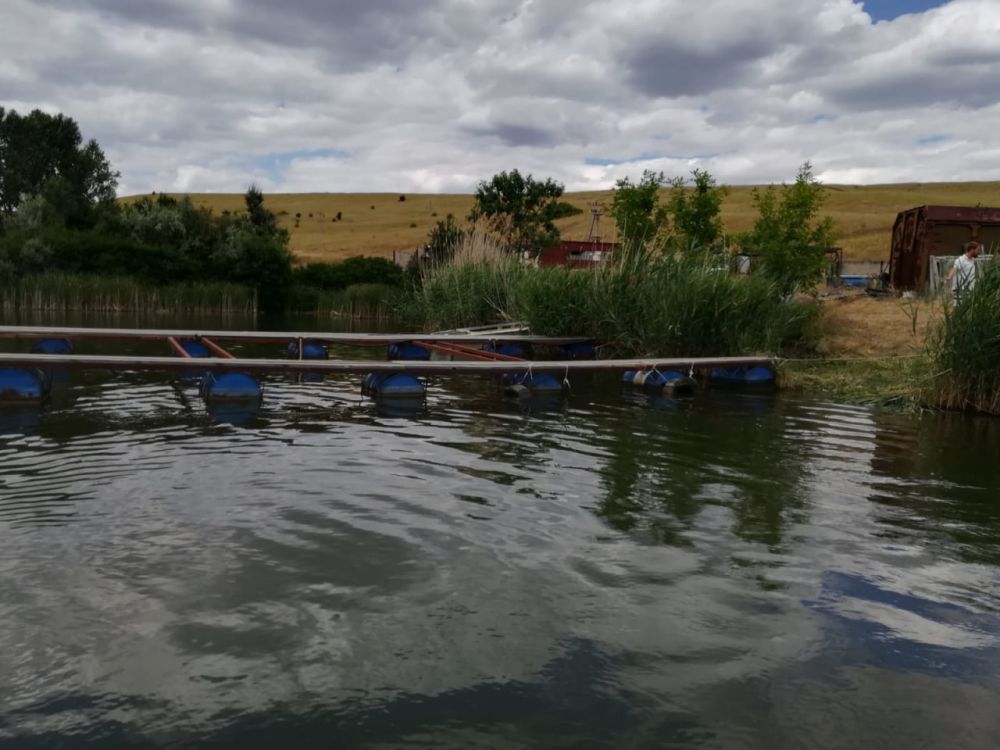 ���������� ��� ������� ������������ ������ ���������� ������������ ������������� �������������� ������ � ������������� �� ������ ����������� ������� �������� 65 �� � ����� �������������� �������� �������