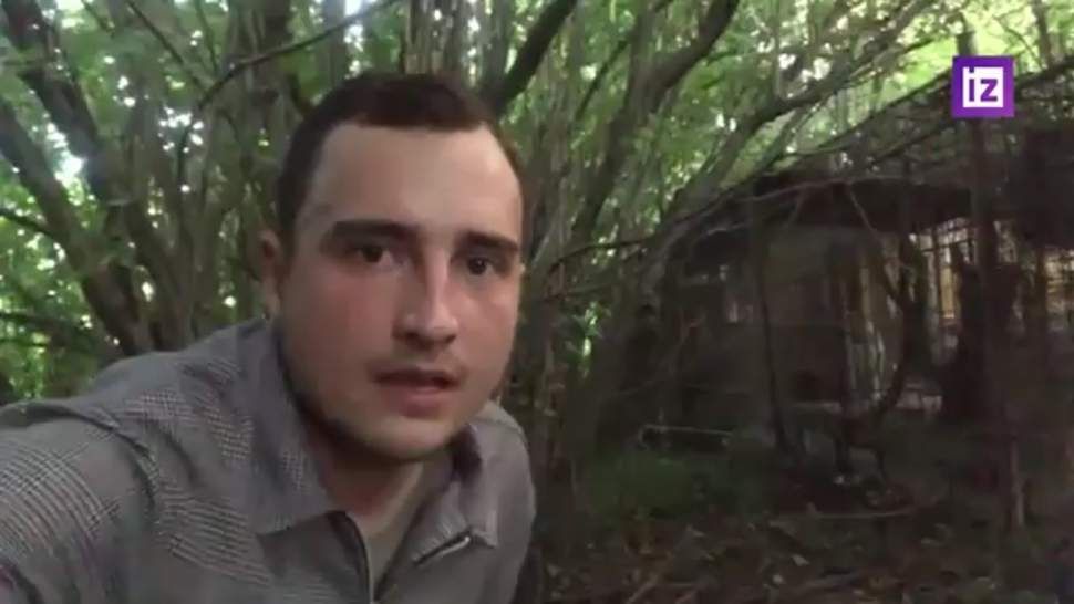 Пострадавшая от нападения обезьяны в Подмосковье девочка пошла на поправку