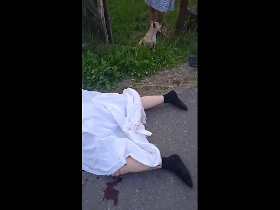 ���������� ������� ������� �������� ���� �������� �� �������������� ����������