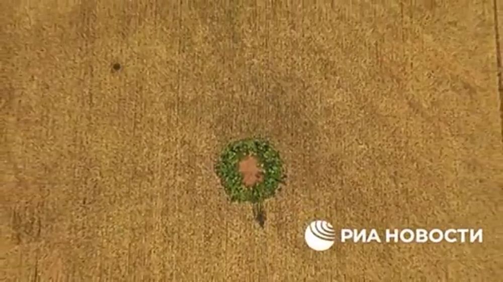 ���� ��������� �������� ���������� ����������������� ����� ������������ ����, ������� �� �����, ������� ������ ��� �������