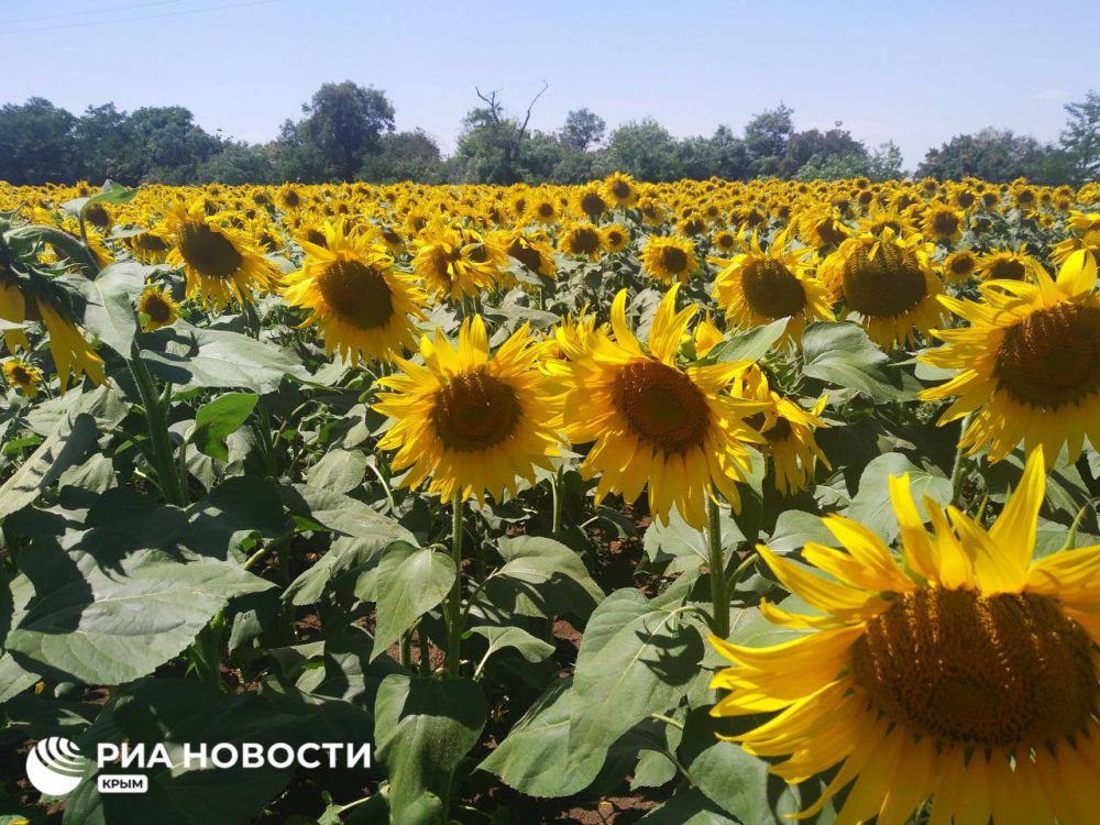 ������ � �������� � �� ������������� �����������