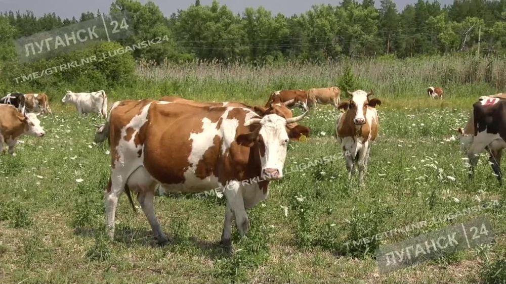 ���������� ����������� �� ������������ ����������� ��������� ������ ��������������� � ����������