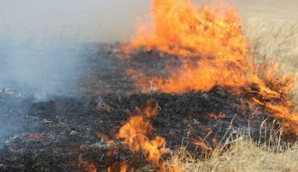 ������������ ������� ��������������� ���������� � ���������� �� 1 �������