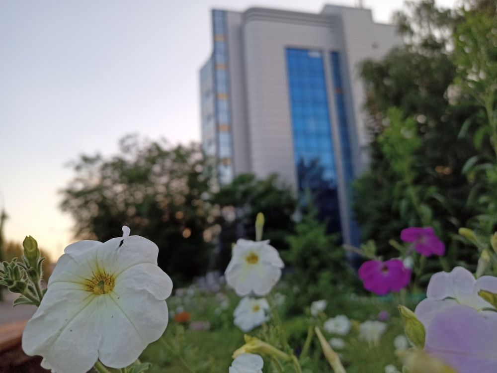 ��������� ������������ �� 33 �������� ���� ������ � ��������