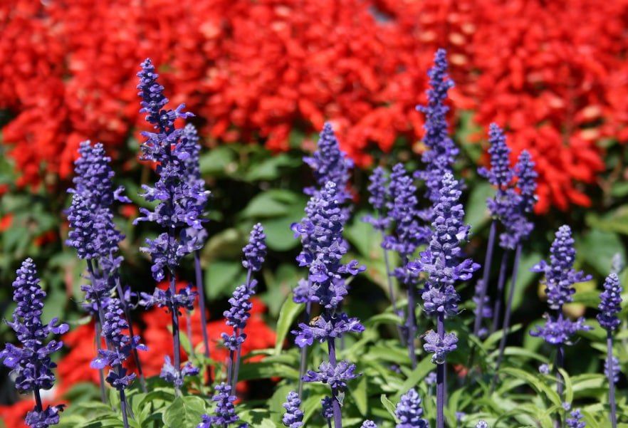 ����������� ������� � ������� ���� �������� ����� 140 ����� ������������