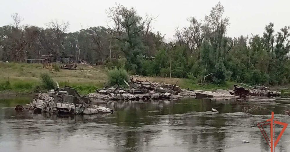 ������������ ���������� � ��� 12 ��������� ������ � ���������� ���