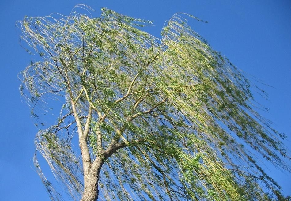 �������� ����� ��������� � �������� �� ������ �������� ������������