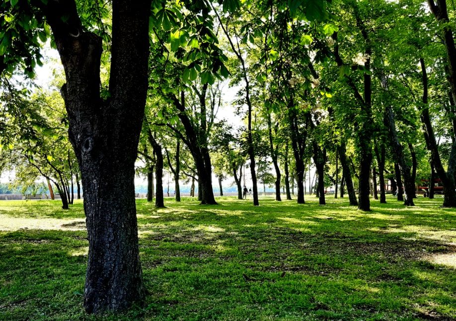 ��������� ������� ����������� ����� 400 ��������