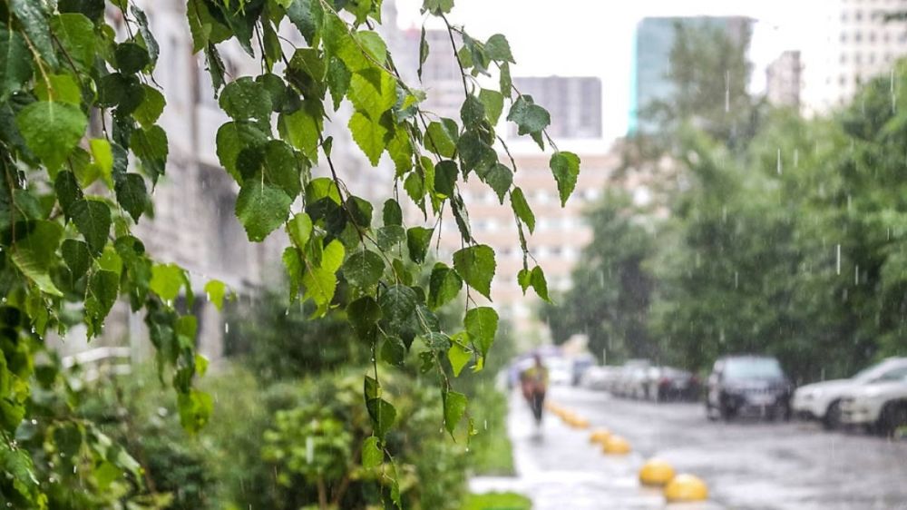 ��������� ������������ ���� 1 ������� �����