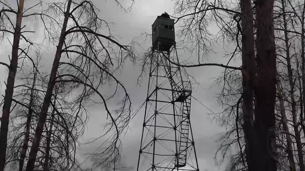 ������������ ���� ��� ��� ���������� ������������ ������ �������� ������������� ���������� ����������