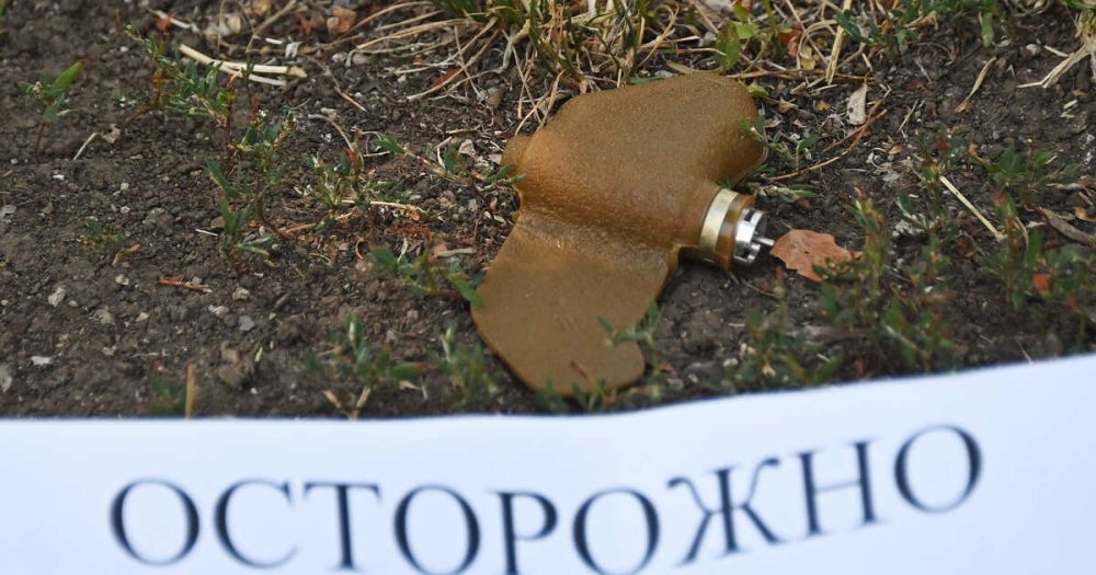 ��������� ����������� �� ���� "��������" � �������