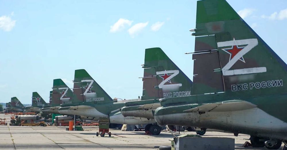 ��� �� ������� ���� �� ������������� 81-� ������������� ������� ���