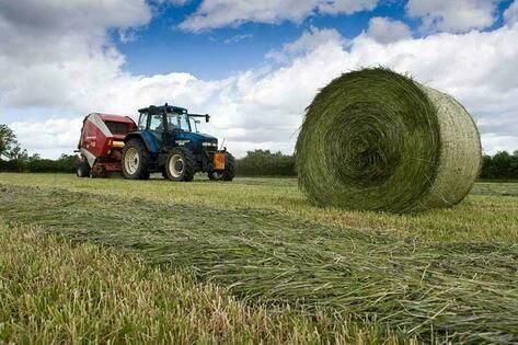 ������� ���������� � ���� ����� 90% �� ������������ ���������� ���� - ����������