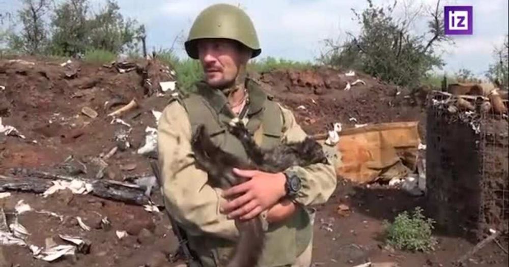 ����� �� ������ ������: ��� ����� ��� ������� �������� �� ���������