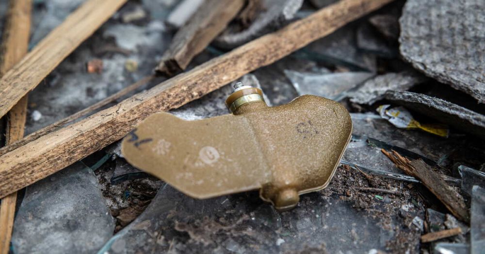 � ��� 29 ������ ������� ����������� �� ���������� ����� "��������"