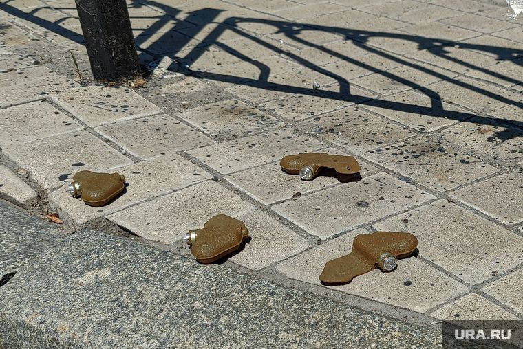 ����������� ����������� �� ����������� ���� &laquo;��������&raquo; � �������