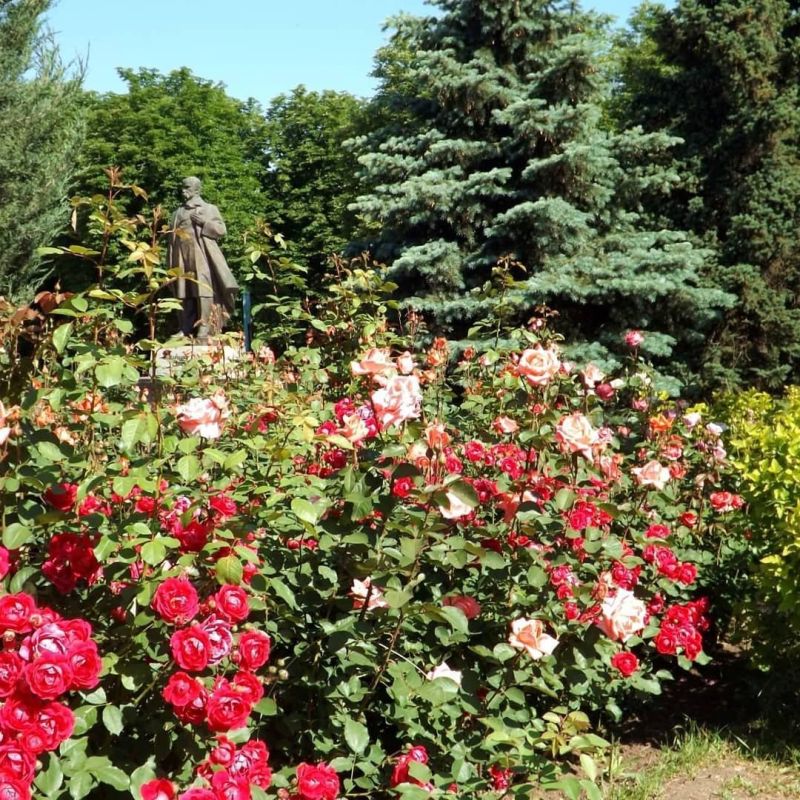 ����������� ������������ ������ � �������� �� 38 �������� ����