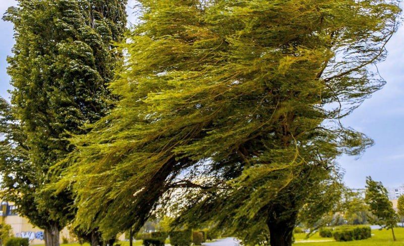 �������� ����� ��������� ������ � ��������