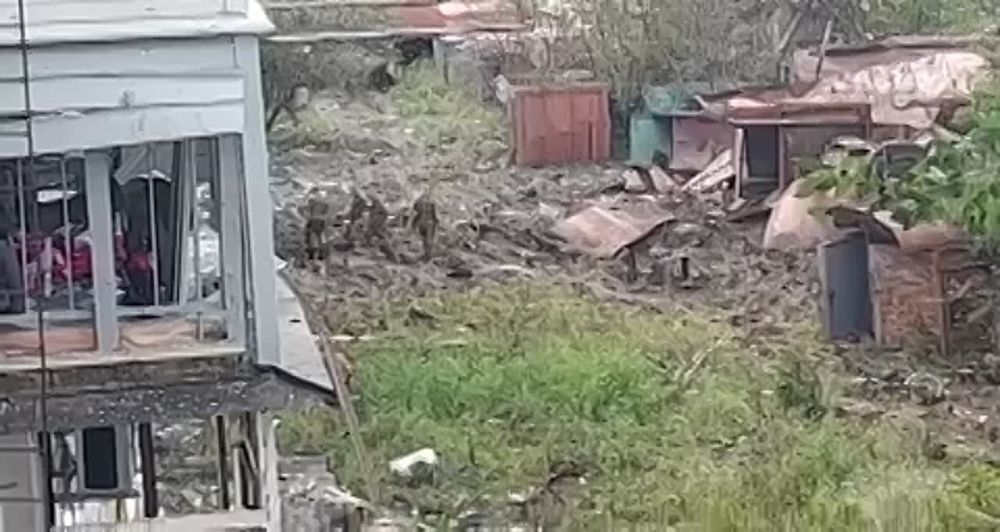 �� ����� ��� �� ����� ���� ������� � ��������