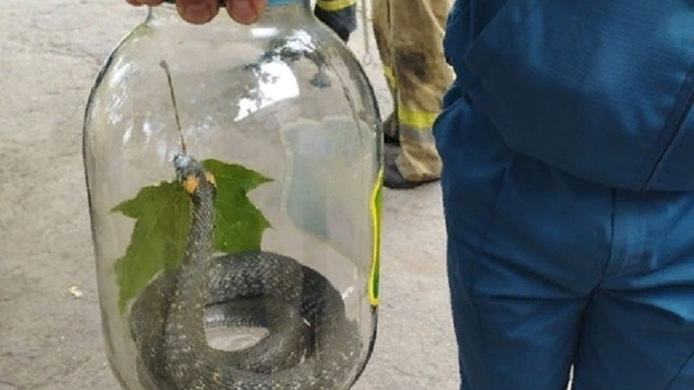 �� ���������� �������� ���� � �������� ���������� ���������������� ����