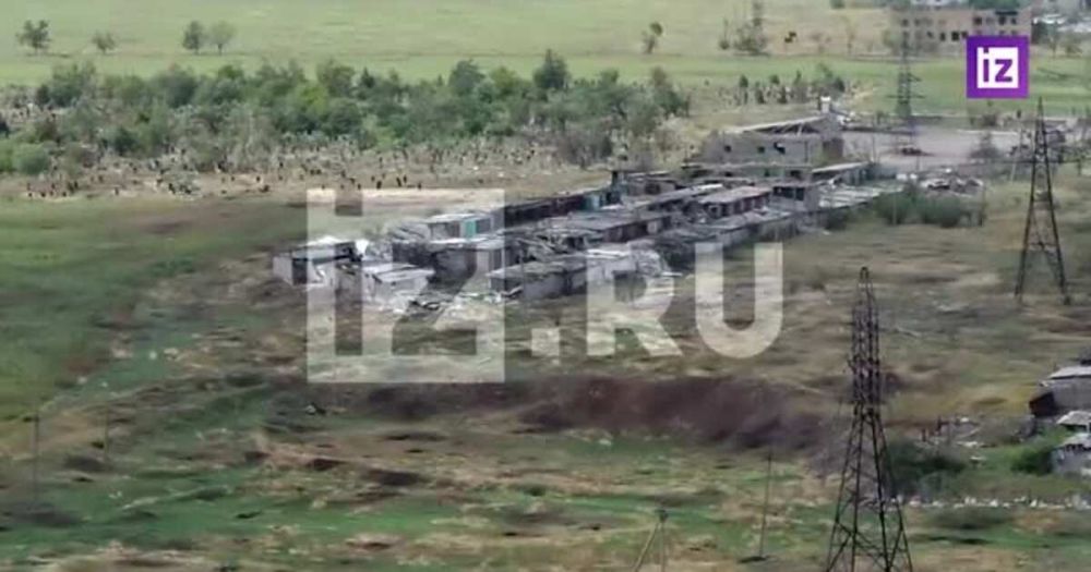 ������� "��������" ������� ����� ������ ������ ��������