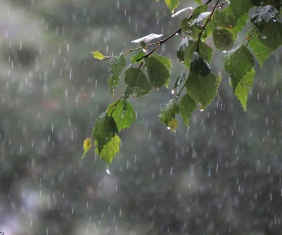 ������ ��������������� ����� ��������� � �������� ������ ����