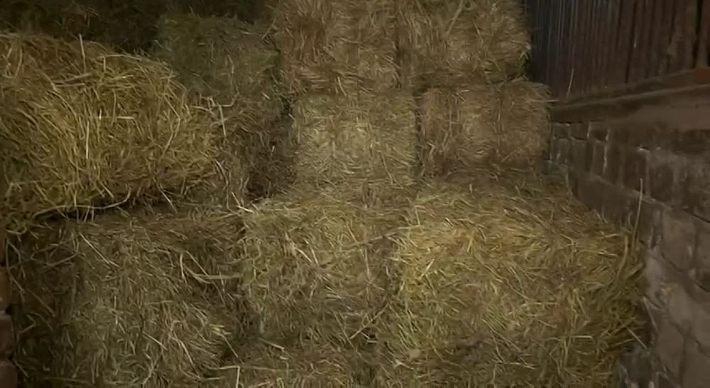 ����� �������� ������� ��� ��������� ���� ��� ������� � ��� ��������� � �������� ��� ��������� ����������� �������� � ����� ��������� � ���������� ������