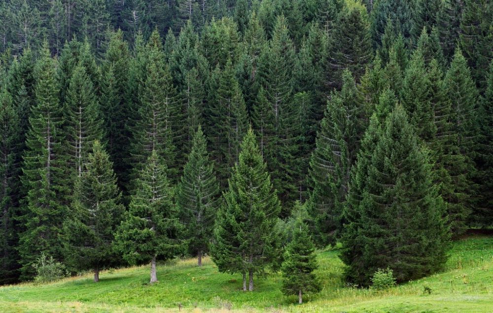 ���������� �������� ����������� �� ���������� � ����� ��-�� �������� ���������