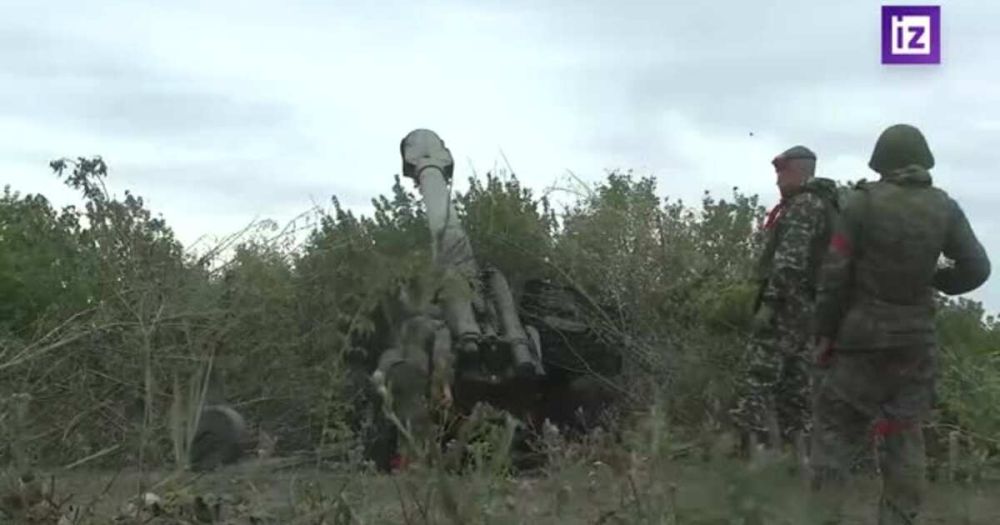 � ���������� �������� � ����� �������� ������� � ���� ������������ ��