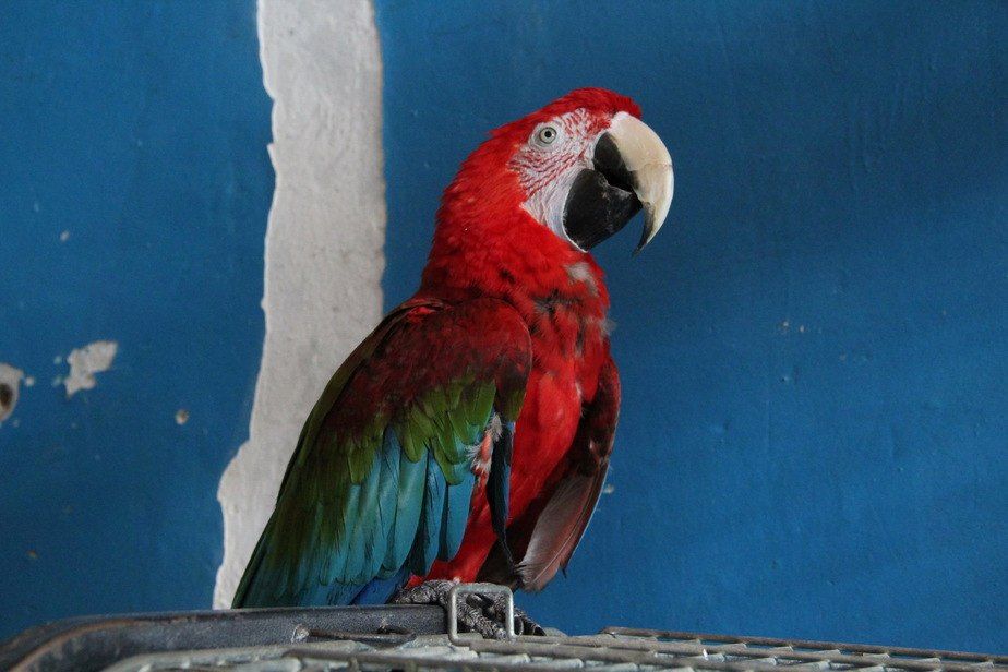 ��������� ���� 27 ������� ������� ����� ����� ��� �������� �� "�����������"