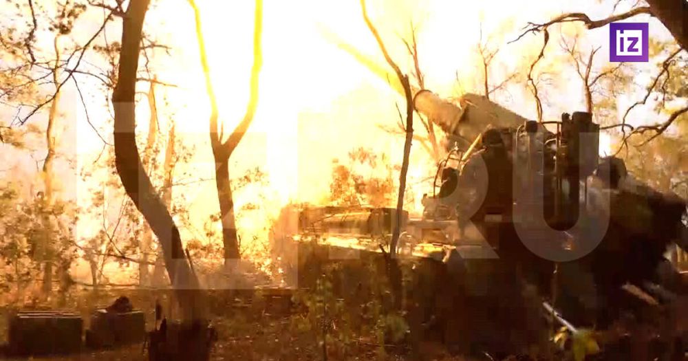 ������� "��������" ������� ������ ������� ����� "����" �� �������� ���